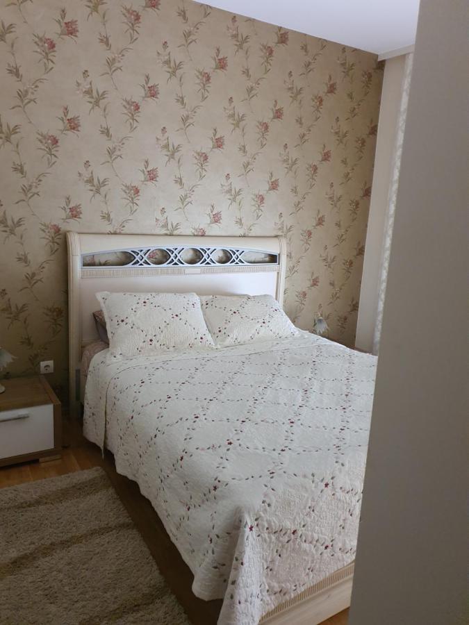 Apartments Soleado Pančevo Zewnętrze zdjęcie
